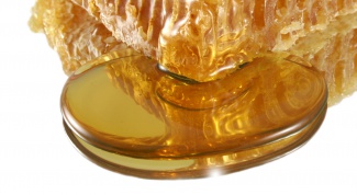 Как определить натуральность мёда
