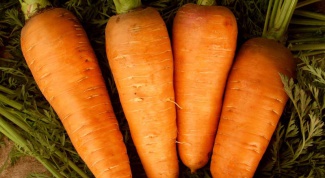 Как вырастить хорошую морковь