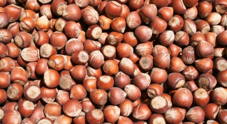 How to grow filbert nuts