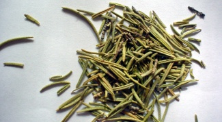 How to use rosemary