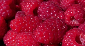 How to store raspberries