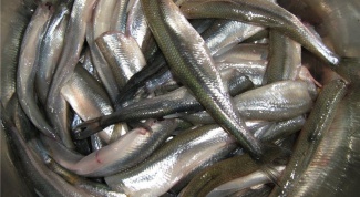 How to clean capelin