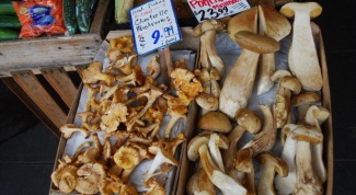 How to cook dried mushrooms