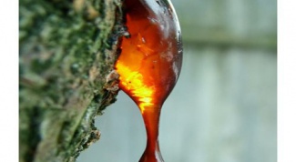 How to collect SAP