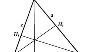 Как начертить высоту треугольника