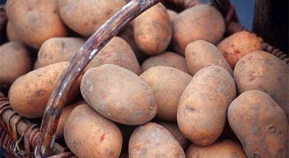 How to pick the early varieties of potatoes