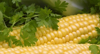 Как сделать кукурузную муку