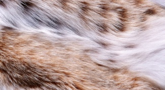 How to sew leather or fur