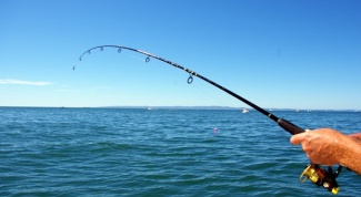 Как выбрать спиннинг для рыбалки