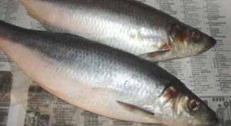How to steep salted herrings