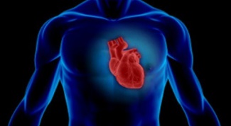 Что представляет собой клапан сердца