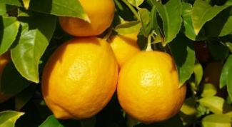 How to build a lemon