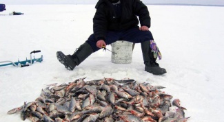 Как проходит зимняя рыбалка