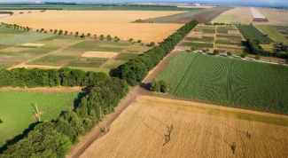 Как оформить землю для сельхозназначения