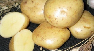 Как в квартире хранить картошку