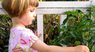 Как приучить ребенка к овощам