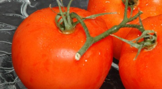 Как выращивать томат медовый