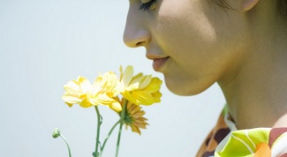 How to restore the sense of smell