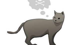 Как узнать, что ваш кот хочет вас убить