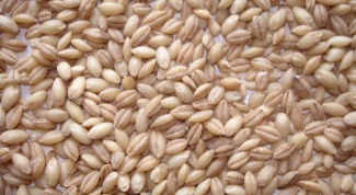 How quick cook barley
