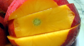 Как вырастить домашнее манго