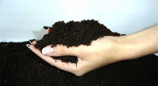 Как обогатить почву