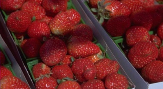 How to grow strawberries 