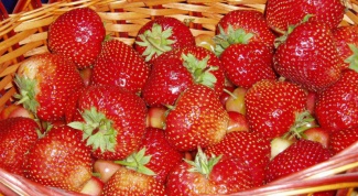 How to grow strawberries