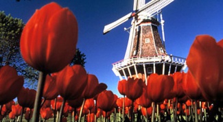 Как оформить визу в Голландию