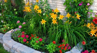 How to make a flower bed at the cottage
