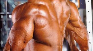 Как быстро накачать мышцы спины