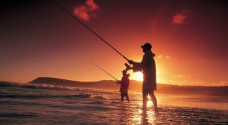 Как ловить рыбу летом