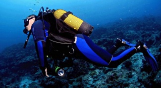 Как выбрать костюм для подводного плавания