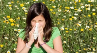 Как избавиться от аллергии на пыльцу