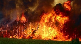 Почему происходят лесные пожары