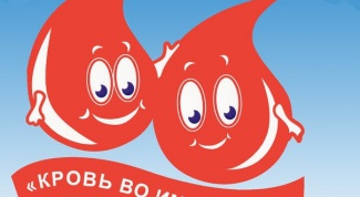 Как проходит Всемирный день донора крови