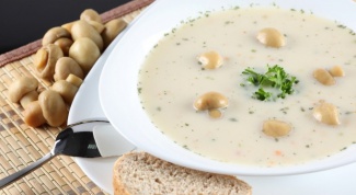 How to make mushroom soup 