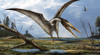 Что было бы, если бы птерозавры выжили?