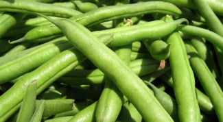 How to grow beans