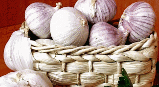 When to dig up garlic