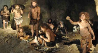 Как лечились неандертальцы