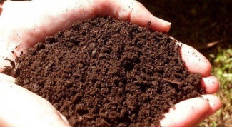 How to reduce the acidity of the soil