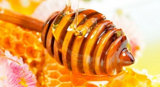 Как по вкусу определить происхождение меда