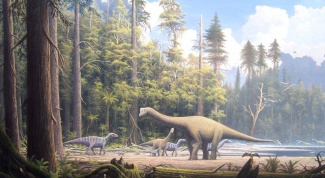 Где находится самая большая коллекция кожи динозавров