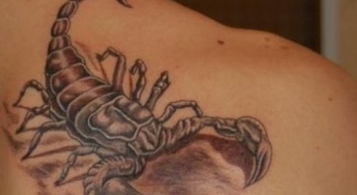 What does a tattoo - a Scorpion on the shoulder