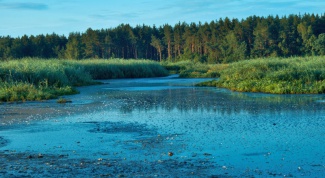 Каковы источники и виды загрязнения поверхностных вод суши
