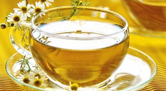 Chamomile during pregnancy