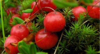 Useful properties of cranberries