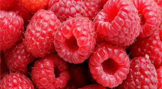 Grow and care for raspberries