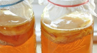 How to care for Kombucha.